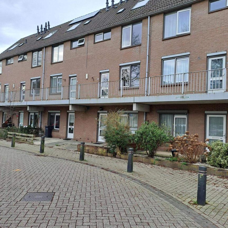 Maison familiale de 4 pièces à Marathonstraat 23, Purmerend - À Louer - Foto 1