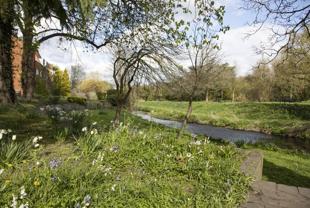 Nightingale Walk,, Farnham - 1 bedroomProperty for lettings - Chasebuchanan - Photo 1