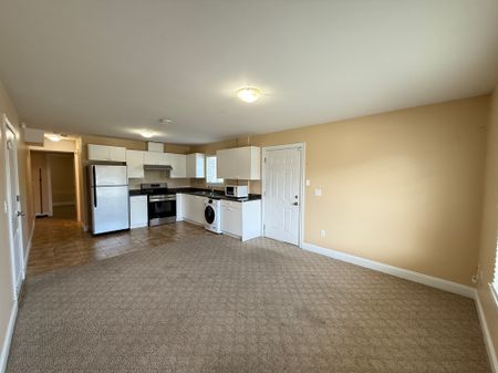 #Lower 5237 Demontigny Court - Photo 3