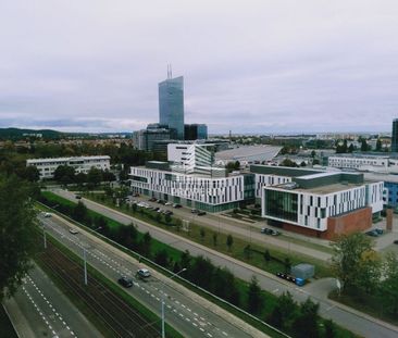 przytulne 2 pokojowe mieszkanie w Oliwie - Photo 6