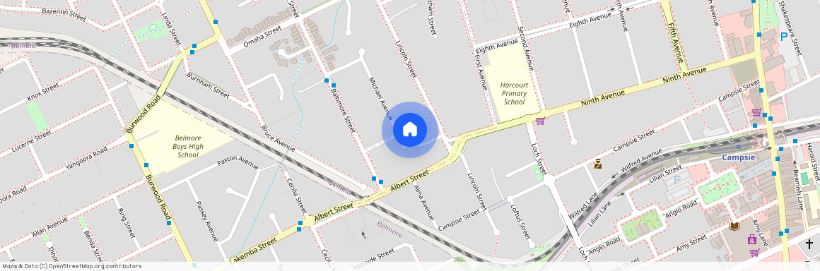 50 Michael Avenue, Belfield NSW 2191