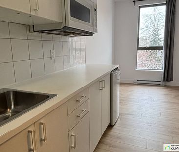 1024, rue Sherbrooke, Le Plateau-Mont-Royal à louer - Photo 1
