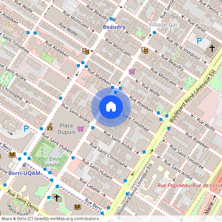 936 Rue Ste-Catherine E., app. 307, Montréal (Ville-Marie), H2L2E7