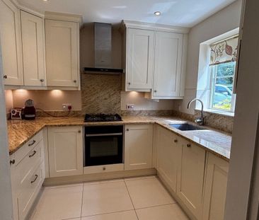 Scarlett Avenue - Photo 5