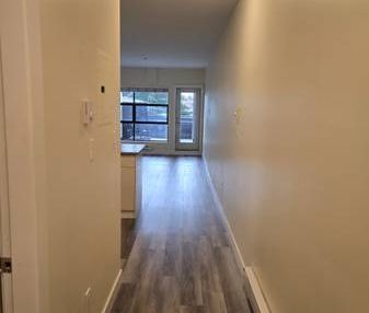 Pet Friendly Unfurnished Studio + Patio Apartment (6638 Main St) - Photo 2