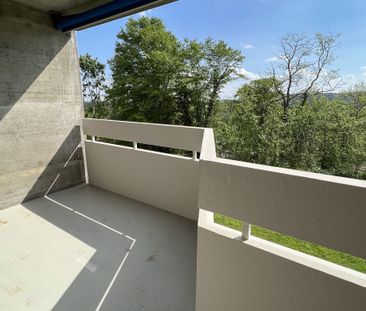 Urbanes Wohnen im Grünen: 2019 sanierte 3-Zimmerwohnung in Muttenz - Photo 2