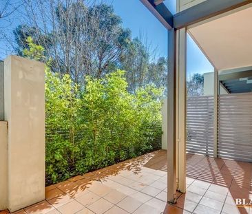 2/120 Athllon Drive, Greenway ACT 2900 - Apartment For Rent | Domain - Photo 5