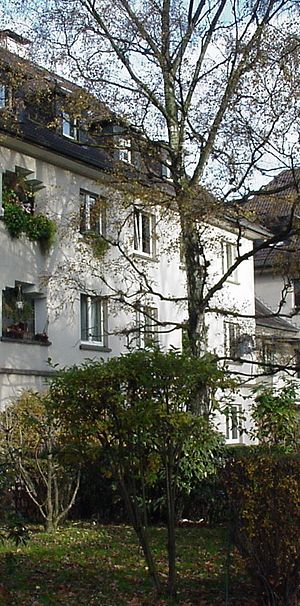 Wohnungsangebot - Photo 1