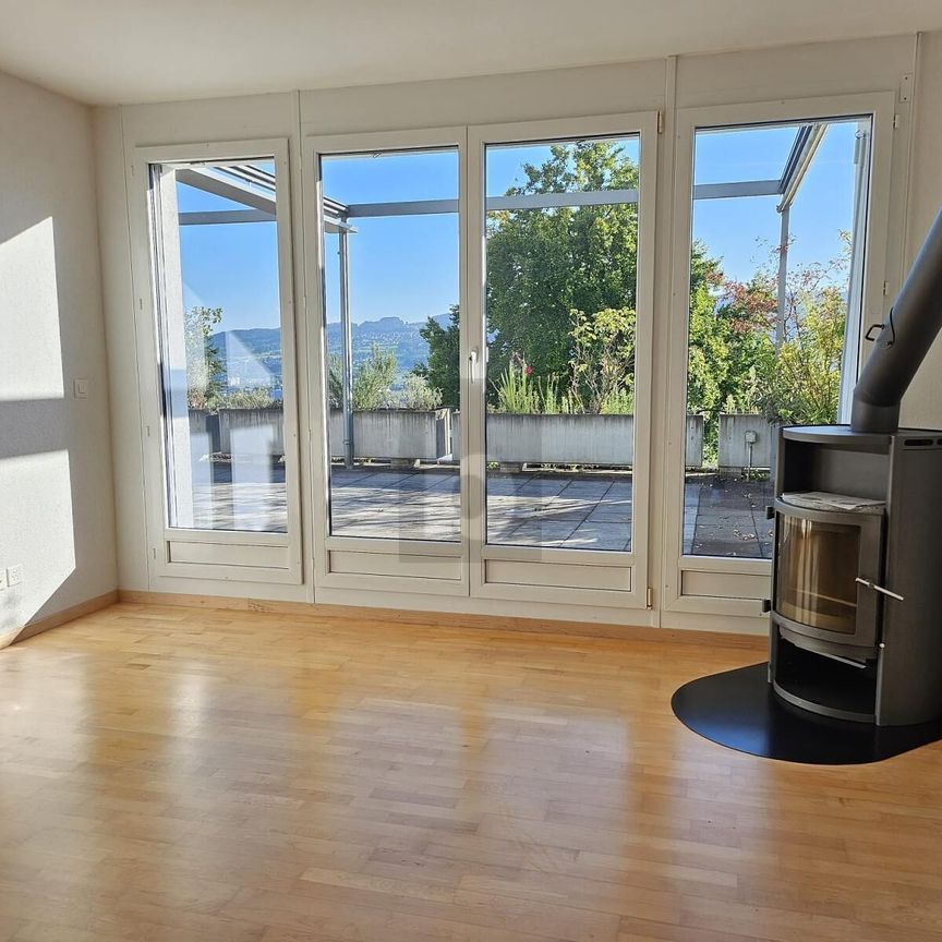 DREAMLIKE VIEW OVER THE LIMMATTAL VALLEY - Photo 1