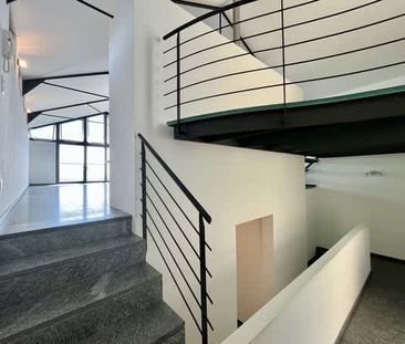 3.5 Zimmer, 115 m² - Foto 4