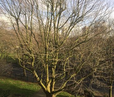 Room in a Shared Flat, Trevelyan House, SE5 - Photo 1