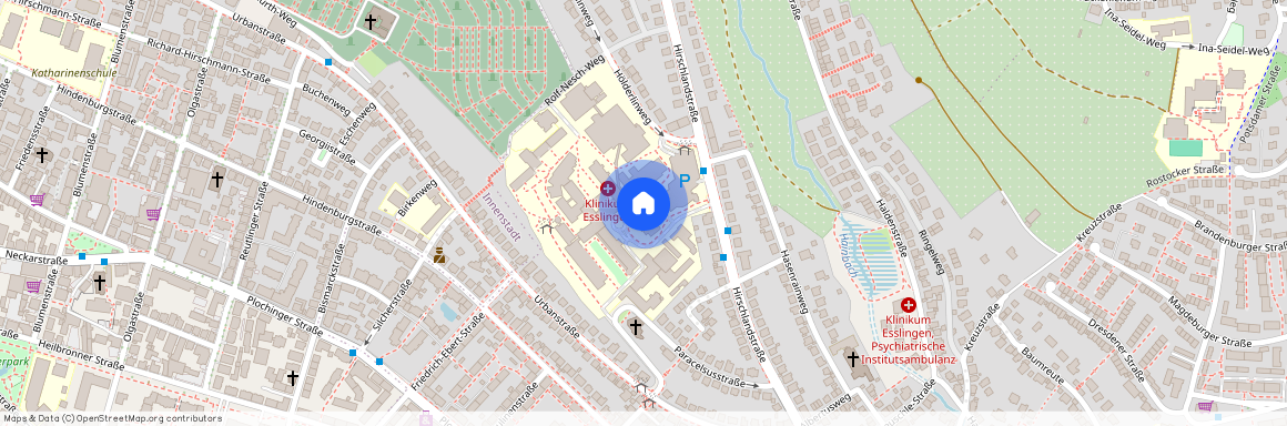 73730 Esslingen, (Oberesslingen), Baden-Württemberg