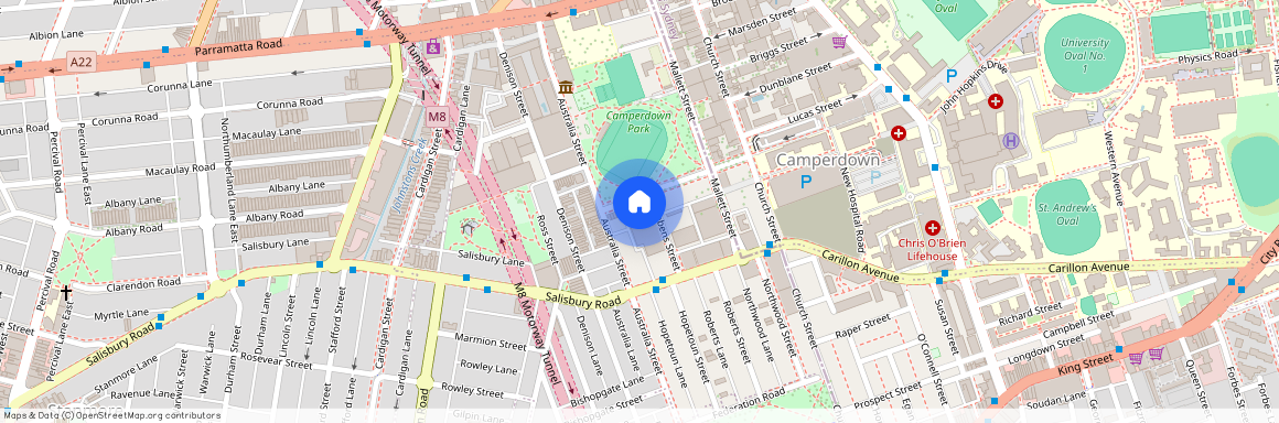 19 Fowler St, NSW 2050, Camperdown