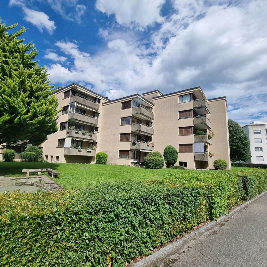 Silencieux avec emballage vert - Photo 1