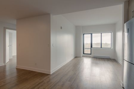 Condo for rent, Montréal (Le Plateau-Mont-Royal) - Photo 2