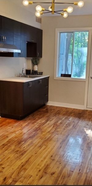 4 1/2 à Louer Au Rdc + Cour Privée - Photo 1