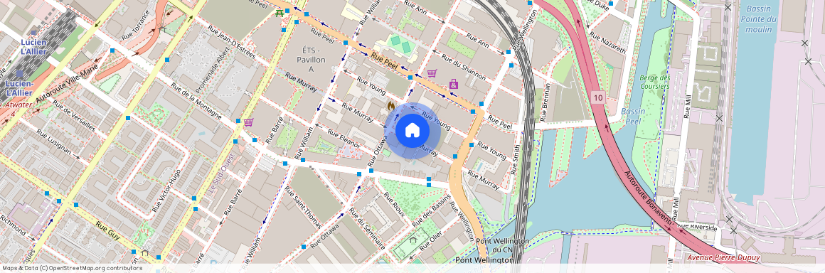 215 Rue Murray, app. 1003, Montréal (Le Sud-Ouest), H3C1A2