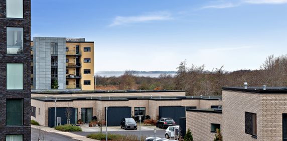 Rygaard Park 16,3.4 - Photo 2