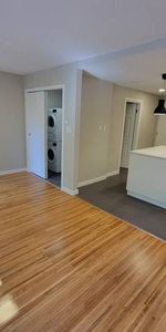 Renovated, Large Cat Friendly Studio With In-Suite Laundry - Photo 3