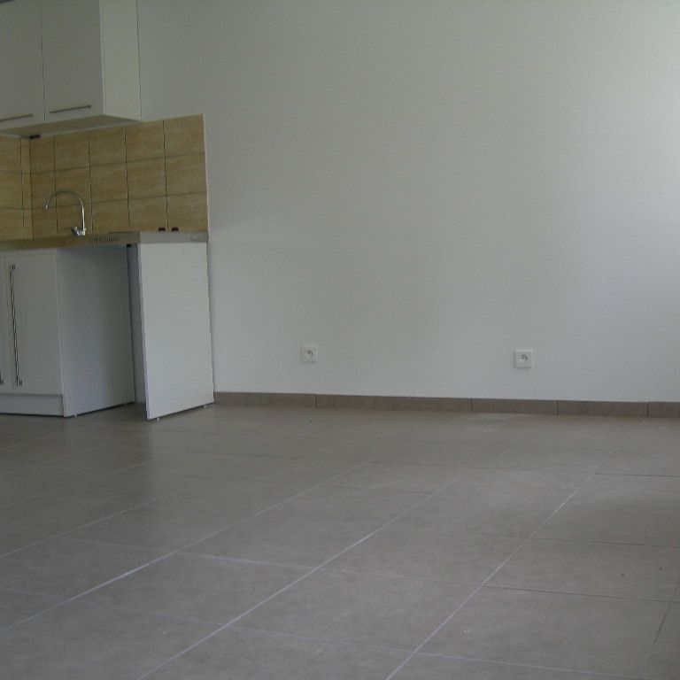 Location Appartement 1 pièce 23m² BRIOUDE 43100 - Photo 1