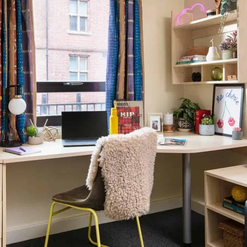 Standard Studio - Photo 1