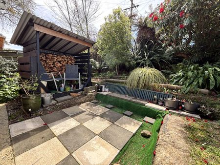 A beauty on Bridger Street - Photo 2