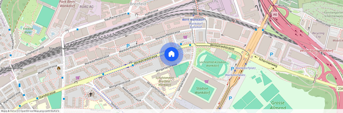 Winkelriedstr. 11, 3014, Bern