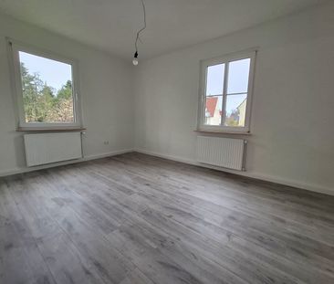 Tolle Lage am Botanischen Garten! - Photo 2