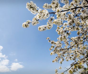 Ängsullsvägen 8 D - Photo 1