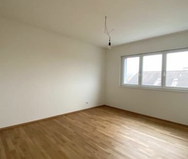 Steinlerweg, Frenkendorf - Foto 4