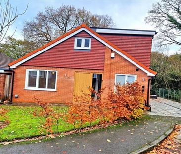 3 Bedroom Detached To Let - Photo 6