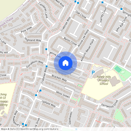 Catkin Walk, Rugeley