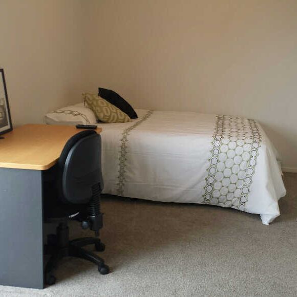 These fully furnished studio units are now ready for tenants, power is included in the weekly rent along with a double sized bed, 32 inch wall mounted TV, desk and chair, a kitchen that includes a kettle, toaster, microwave, mini fridge, cutlery, cups and plates, a large wardrobe and an ensuite bathroom. - Photo 1