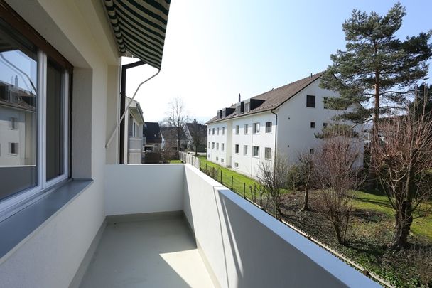 Sanierte 2,5-Zimmerwohnung im Grünen - Photo 1