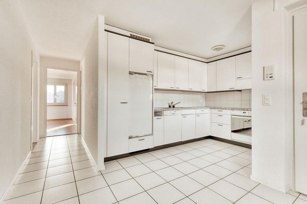 Leben neben der Schüssinsel - Vivre près de l'île de la Suze - Photo 1