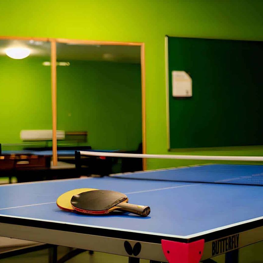 Classic Studio - Photo 1