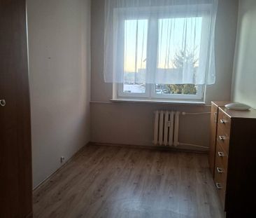 Nowodworski, Nowy Dwór Mazowiecki, Pułkownika Witolda Pileckiego - Photo 3