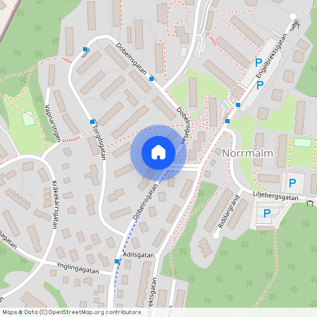 Borås, Döbelnsgatan, 99, 50638