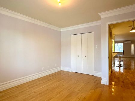 1322 Rue La Fontaine, Montréal (Ville-Marie), QC H2L - Photo 4