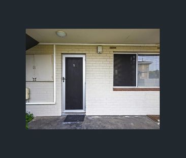 Ground Floor Gem - Photo 4