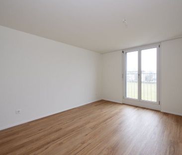 On se sent tout simplement chez soi dans le parc Mooswies - Foto 6