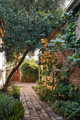 85 William Street, Brighton - Photo 3