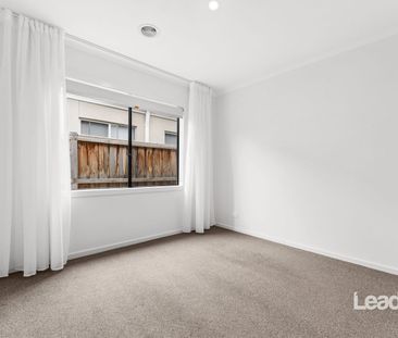 Stop! Look at this! - Photo 2