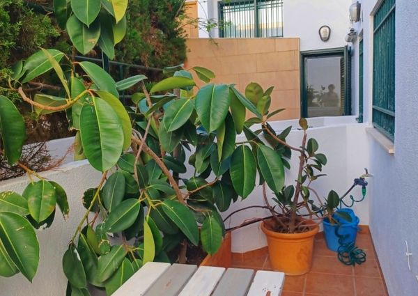 Bungalow for rent with 4 bedrooms in Arenal Javea