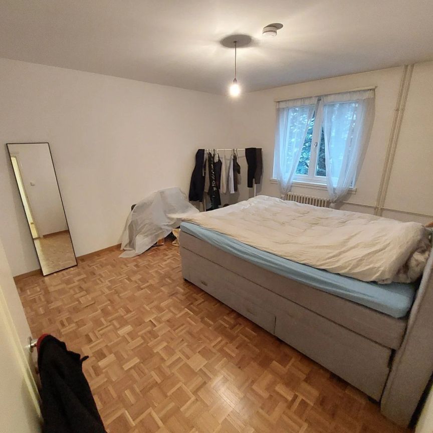 3 Zimmer, 61 m², EG - Photo 1