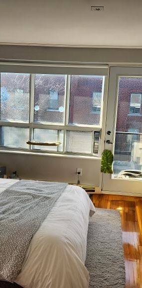 Studio - Montréal - $1,250 /mo - Photo 1