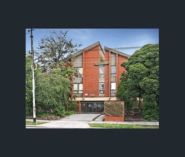 13/205 Maribyrnong Road, Ascot Vale, Vic 3032 - Photo 4