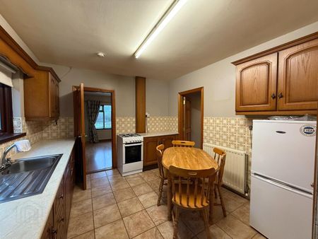 62 Loughbeg Road, Toomebridge, Antrim, BT41 3TP - Photo 5