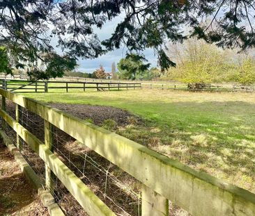 Country Living - Photo 4