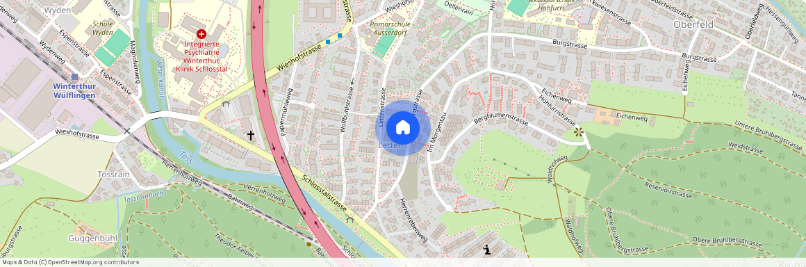 Burgstr. 13, 8408, Winterthur